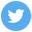 Twitter icon